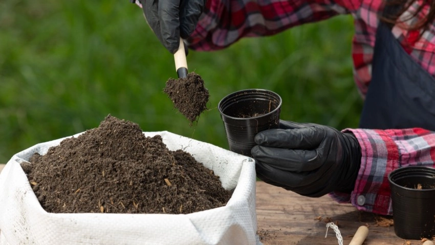¿Qué son los fertilizantes biológicos orgánico-minerales y cómo mejoran la productividad agrícola?