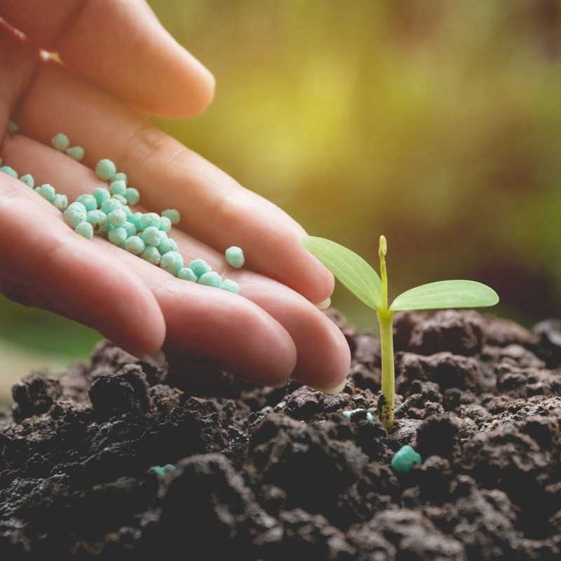 Nutrición Integral y Productividad